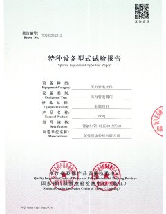 2024年型式试验报告2012